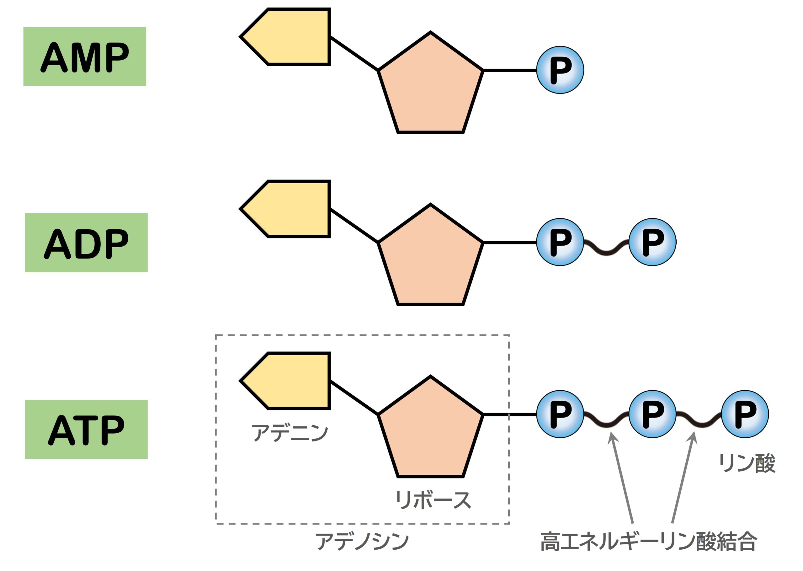 シータヒーリング　ATP